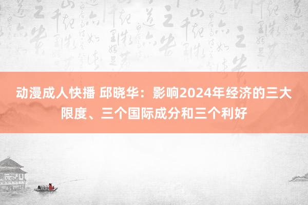 动漫成人快播 邱晓华：影响2024年经济的三大限度、三个国际成分和三个利好