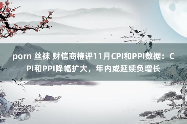 porn 丝袜 财信商榷评11月CPI和PPI数据：CPI和PPI降幅扩大，年内或延续负增长