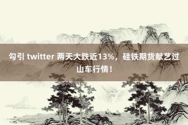 勾引 twitter 两天大跌近13%，硅铁期货献艺过山车行情！