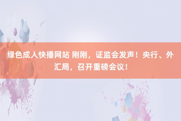 绿色成人快播网站 刚刚，证监会发声！央行、外汇局，召开重磅会议！