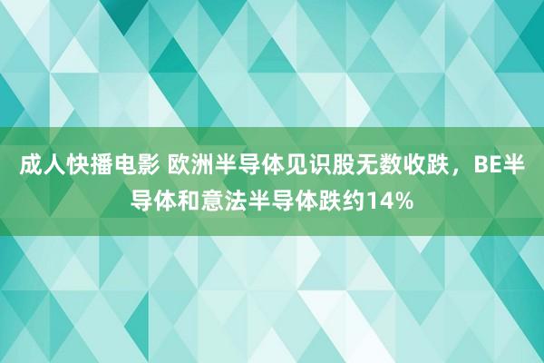 成人快播电影 欧洲半导体见识股无数收跌，BE半导体和意法半导体跌约14%
