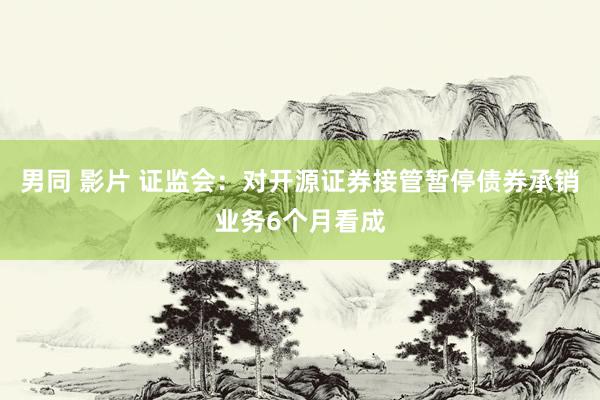 男同 影片 证监会：对开源证券接管暂停债券承销业务6个月看成