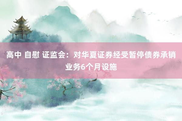 高中 自慰 证监会：对华夏证券经受暂停债券承销业务6个月设施