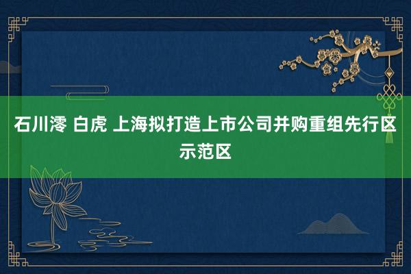 石川澪 白虎 上海拟打造上市公司并购重组先行区示范区